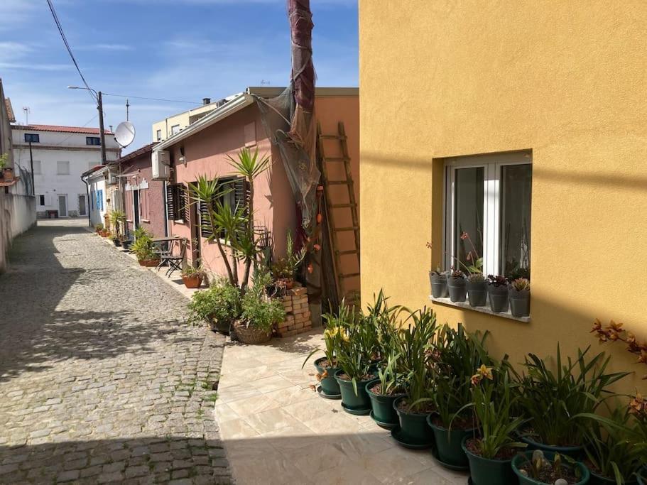 Casa Nova Villa Apúlia Buitenkant foto